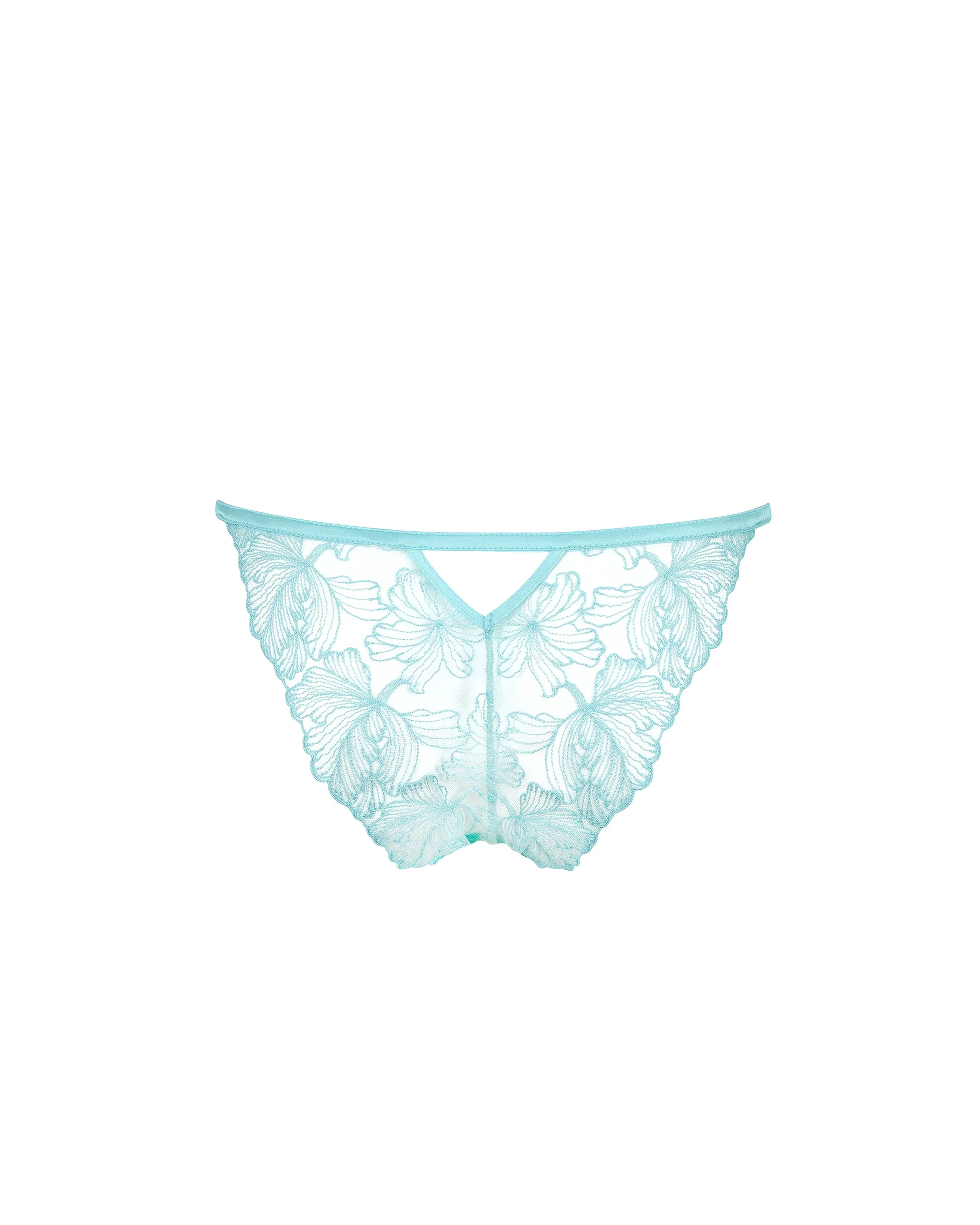 Alula Brief Blue Topaz/Sheer