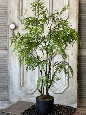 Hillside Grove Tree | 33" | NOT CURRENTLY IN STOCK - Spring 2025