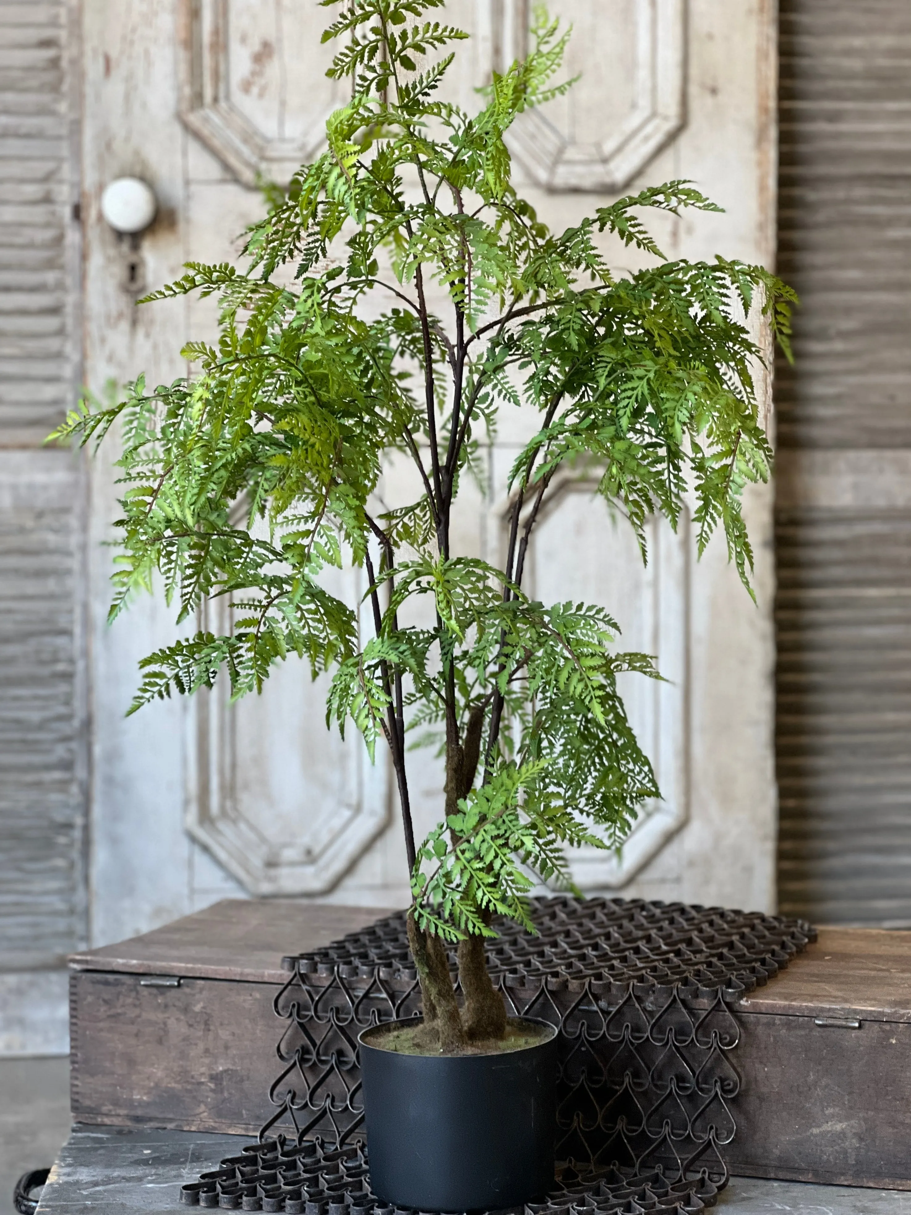 Hillside Grove Tree | 33" | NOT CURRENTLY IN STOCK - Spring 2025